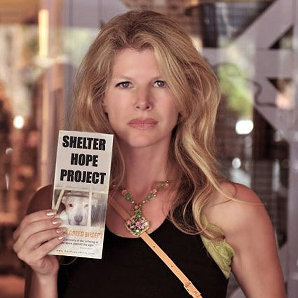 Shelter Hope Pet Shop - Kim Sill.