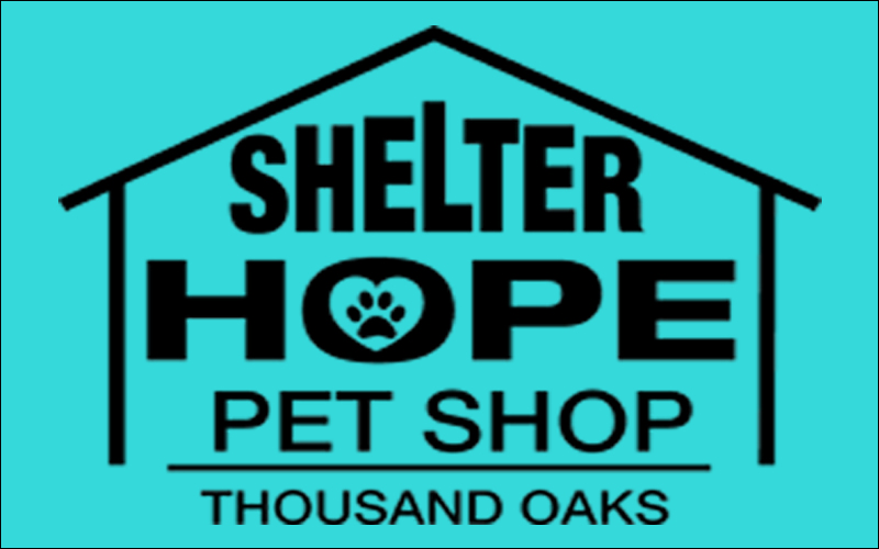 Questionnaire Shelter Hope Pet Shop
