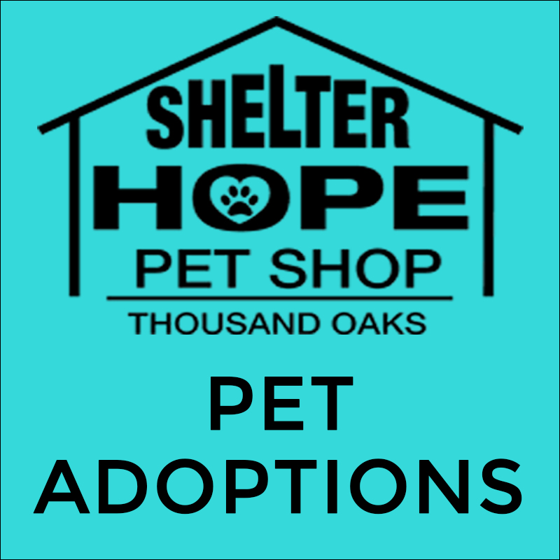 Questionnaire - Shelter Hope Pet Shop